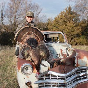 Meet your Posher, Alex